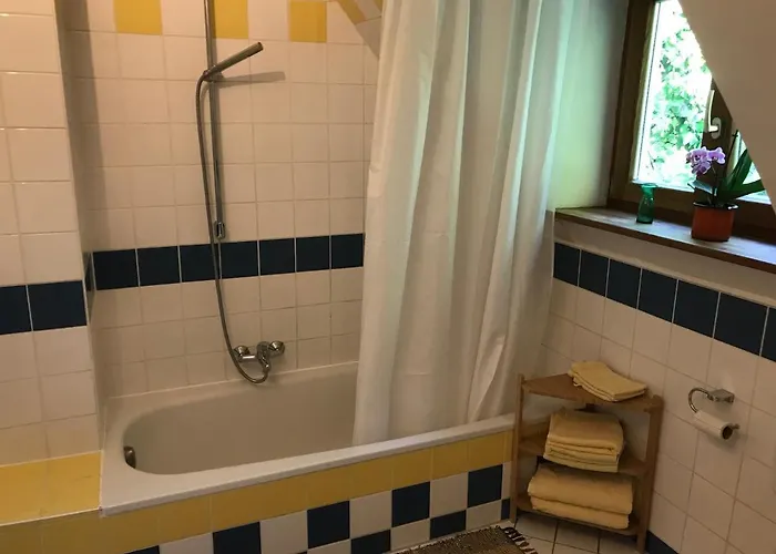 Charmante Altbau-dg-wohnung